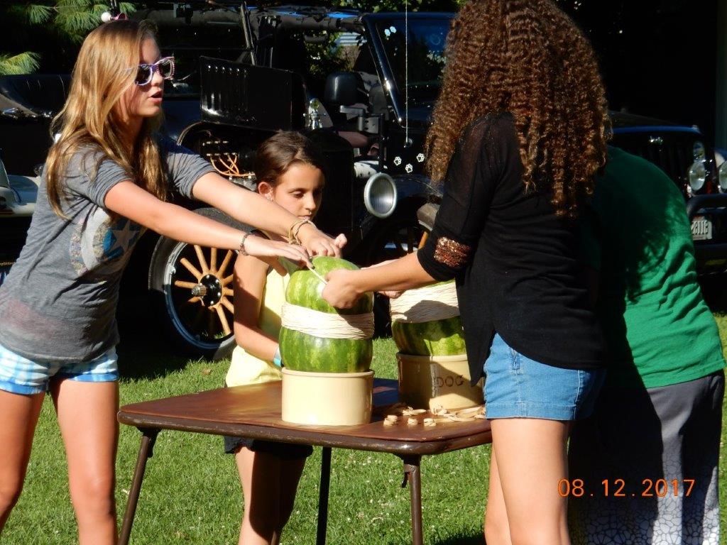 6thAnnualPauleyPicnic