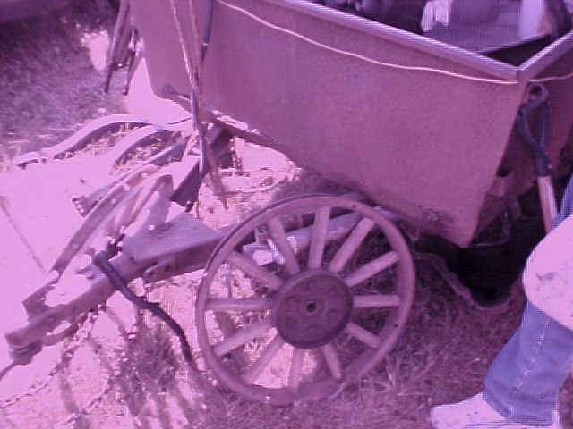 IOLA2011