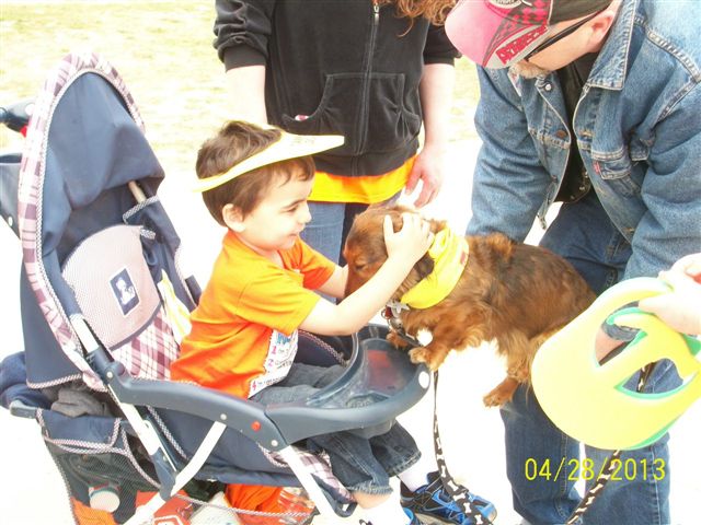 MSWalk2013