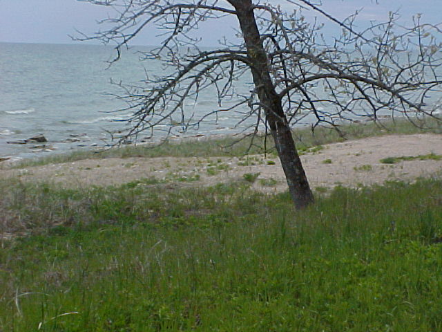 AlgomaTour